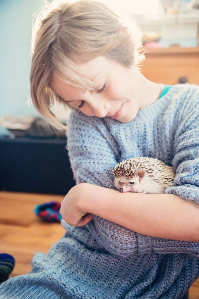 hedgehogs as pets,
hedgehog for sale,
pet a hedgehog,
adopting a hedgehog,
domestic hedgehog,
hedge hog price,
buy a hedgehog,
hedgehog adoption near me,