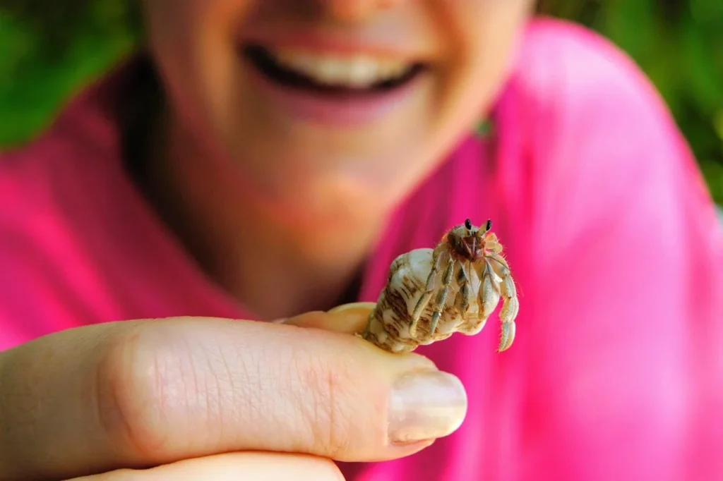 class pet,
best classroom pets,
best class pet,
cool class pets,
dog in classroom,
easy class pet,
easy classroom pets,
good class pets;
good classroom pets
petsmart pets in the classroom;