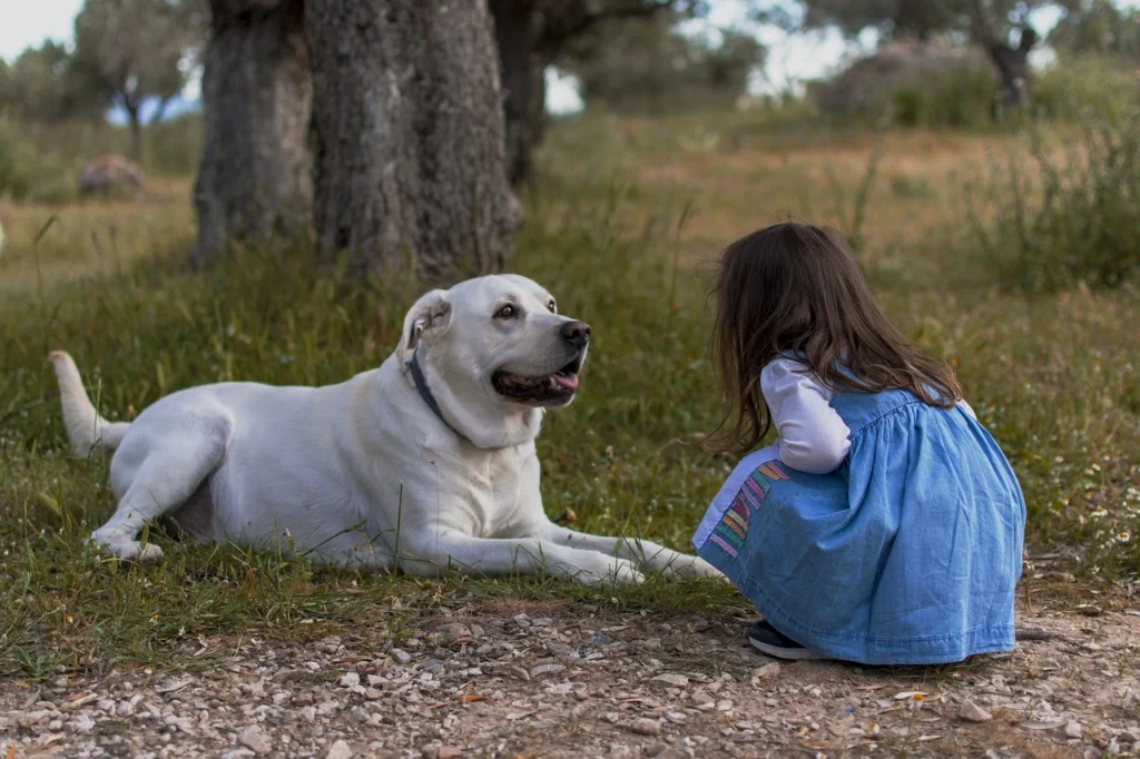 Most Loyal Animals to Their Owners