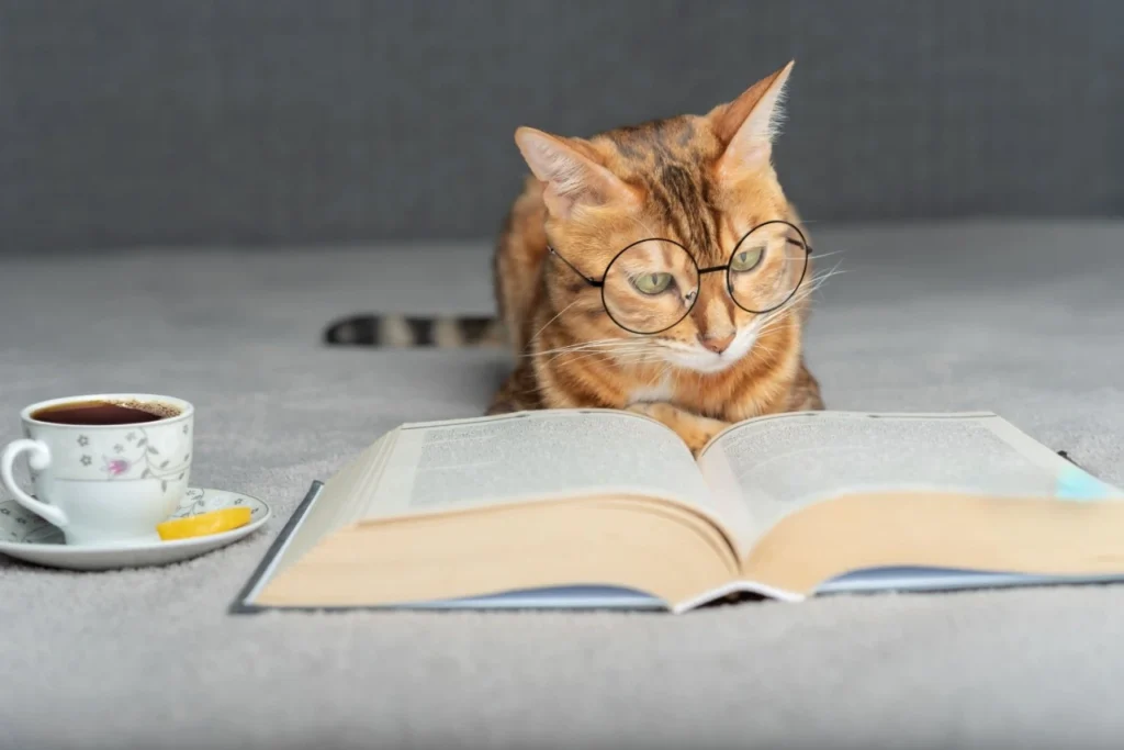 11 Must-Read Pet Books for Animal Lovers