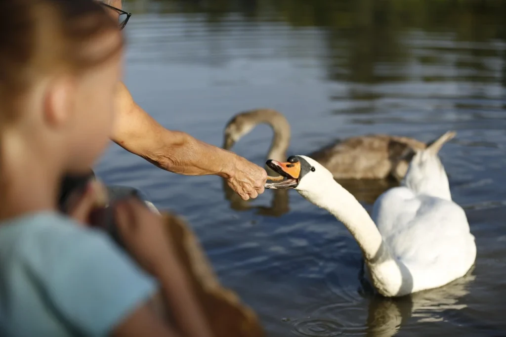 Most Loyal Animals to Their Owners