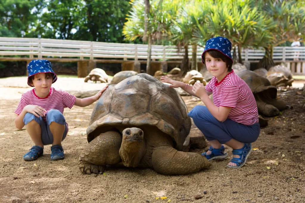 giant tortoise as pet , is it cruel to keep a tortoise as a pet , giant tortoise pet for sale , pet tortoise for sale , sulcata tortoise for sale , types of tortoise pets , is it legal to have a tortoise as a pet,