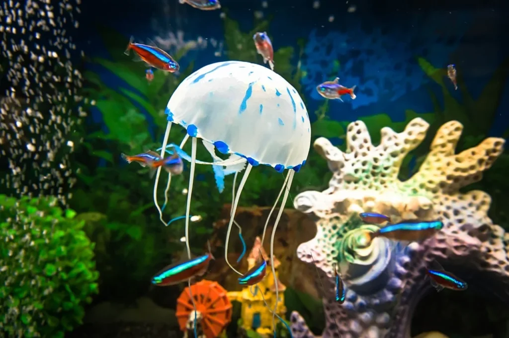 pet jellies, jellyfish as a pet, moon jellyfish for sale, live jellyfish for sale, jellyfish buy, fake jelly fish tank, jellyfish sale, blue small jellyfish, buy freshwater jellyfish, buy jelly fish tank, moon jellyfish pet, real jelly fish tank,