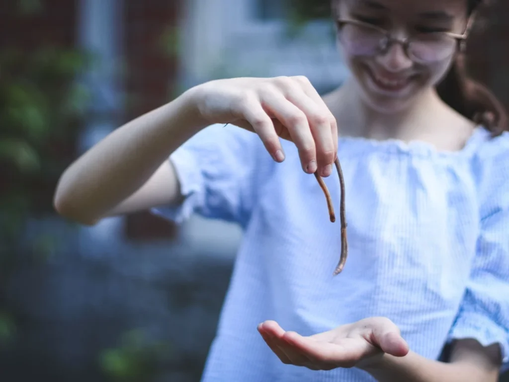 worms as pets, Types of pet worms, Pet worms for sale, Worm as a pet pros and cons, Worm as a pet benefits, Worm as a pet reddit, How to keep a worm as a pet, Pet worm habitat, Pet worm kit, worm as a pet, pet worm tablets, pet worm,