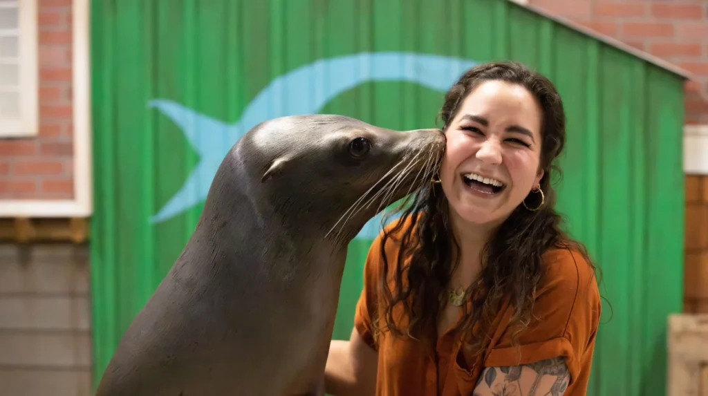 Can I pet a seal? Are seals safe to touch? Can seals show affection? Can you interact with seals? Can seals bond with humans? How to tell if a seal is happy? Can you have seal as a pet? Is seal a good pet? Are seals friendly with humans? Can I keep a seal? Is A seal intelligent? What is the price of $seal? where can i buy a pet seal can you have a pet seal in the us adopt a seal and track it what is a pet seal in an apartment pet a seal near me can you have a seal as a pet in california can you pet a baby seal seal encounter near me where can i buy a pet seal can you have a pet seal in the us adopt a seal and track it what is a pet seal in an apartment pet a seal near me can you have a seal as a pet in california can you pet a baby seal seal encounter near me