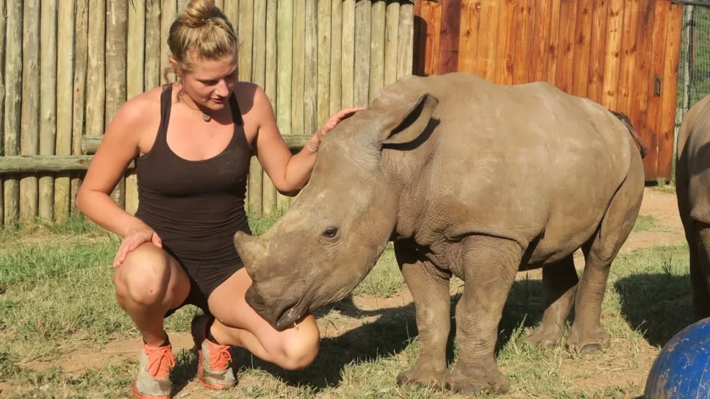 rhino as a pet, pet rhino , rhino pet , rhino price , rhino care ,, can you have a rhino as a pet , can you keep a rhino as a pet , can i have a rhino as a pet , can i keep a rhino as a pet , can you own a rhino as a pet , is it legal to have a rhino as a pet ,