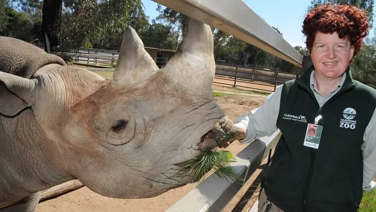 rhino as a pet, pet rhino , rhino pet , rhino price , rhino care ,, can you have a rhino as a pet , can you keep a rhino as a pet , can i have a rhino as a pet , can i keep a rhino as a pet , can you own a rhino as a pet , is it legal to have a rhino as a pet ,