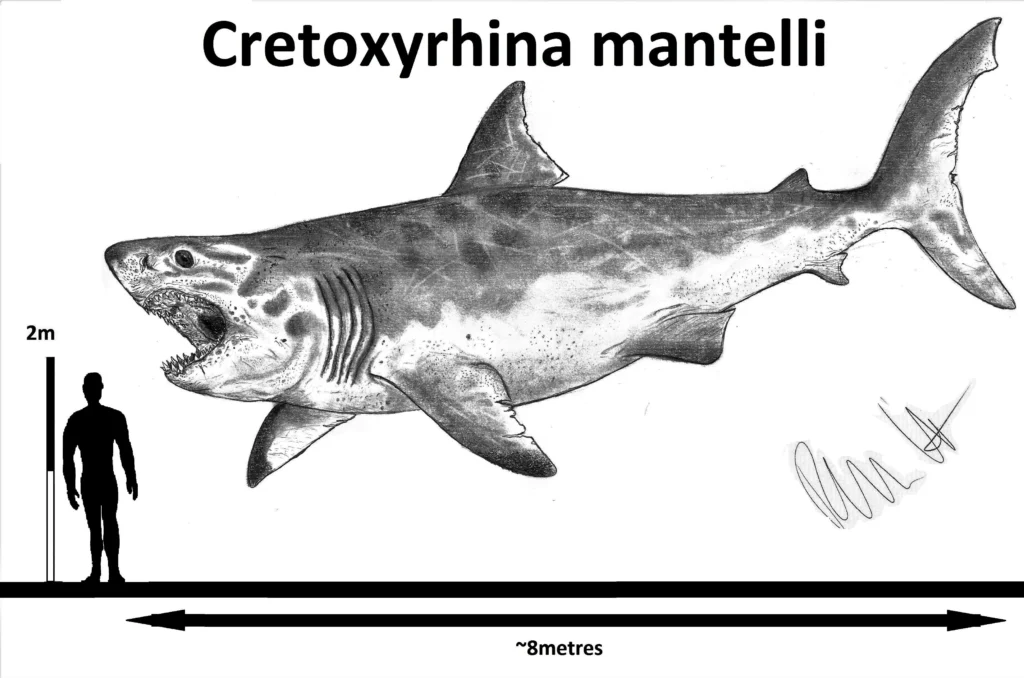 Top 10 Extinct Fastest Sea Animals That Once Ruled the Seas 5 extinct fastest sea animal
what is the fastest extinct animal in the world
what animal went extinct the fastest
what is the biggest extinct sea animal
extinct sea animals names
top extinct animals that may still be alive
extinct animals in the sea
animals that got extinct in 2021
fastest sea creature
animals that are extinct but still alive