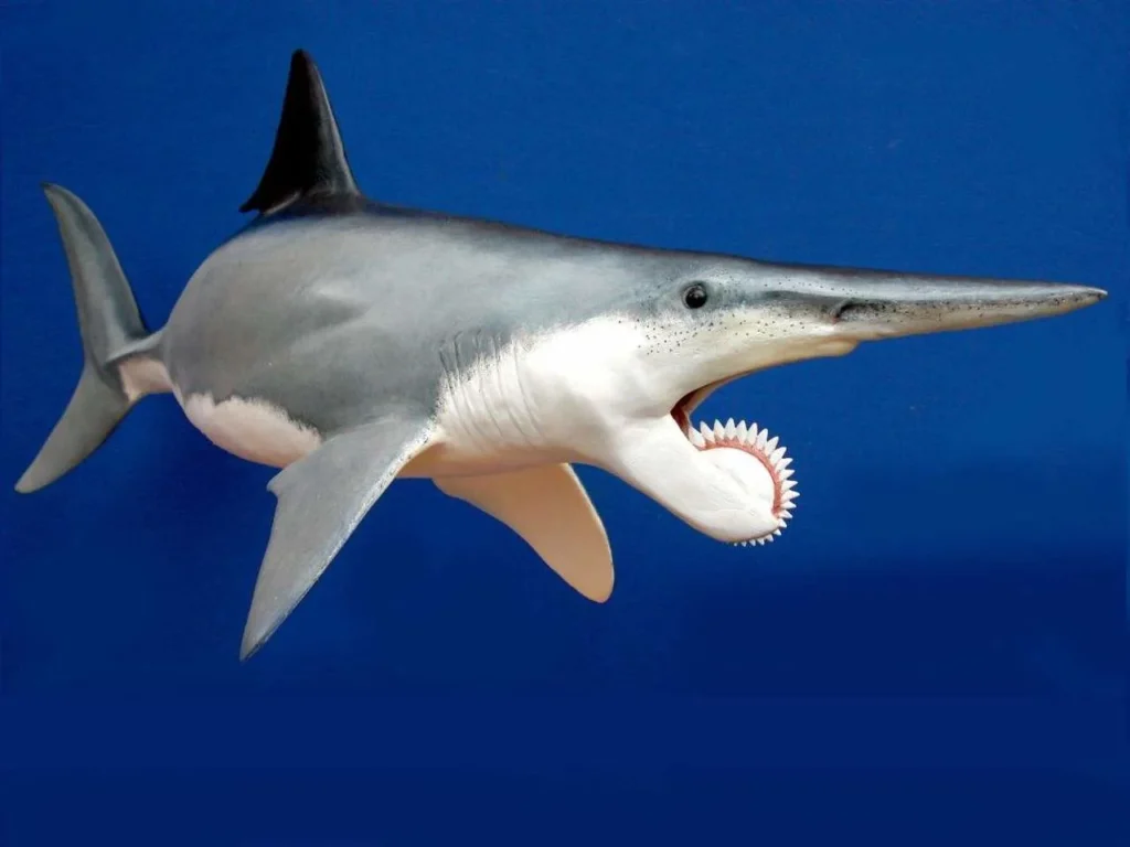 Top 10 Extinct Fastest Sea Animals That Once Ruled the Seas 11 extinct fastest sea animal
what is the fastest extinct animal in the world
what animal went extinct the fastest
what is the biggest extinct sea animal
extinct sea animals names
top extinct animals that may still be alive
extinct animals in the sea
animals that got extinct in 2021
fastest sea creature
animals that are extinct but still alive