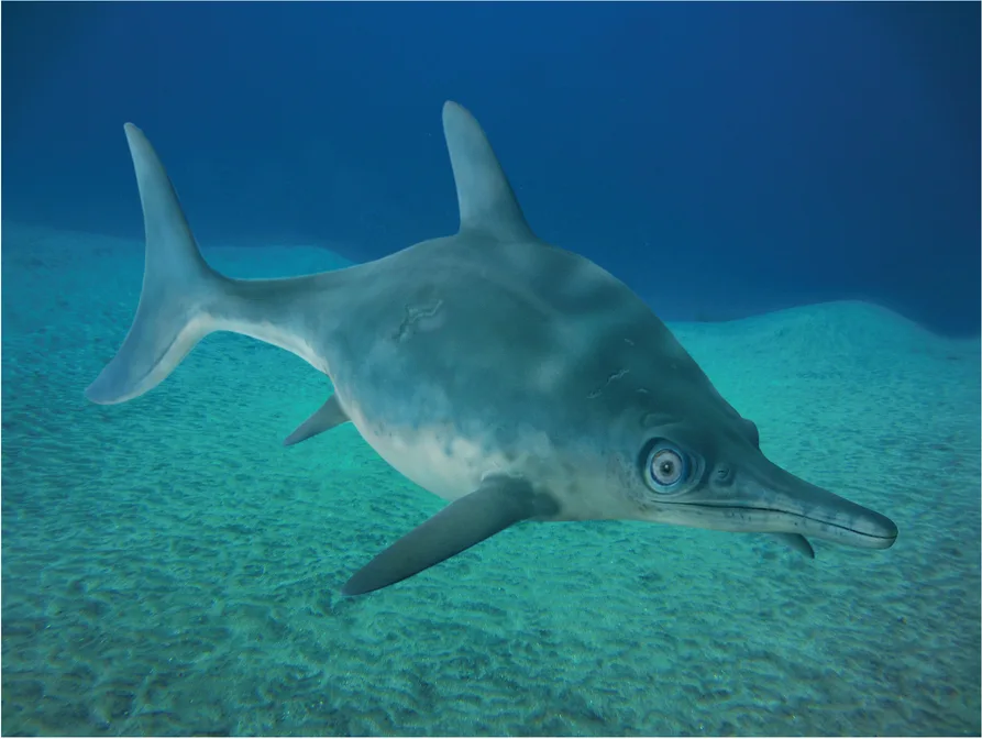 Top 10 Extinct Fastest Sea Animals That Once Ruled the Seas 3 extinct fastest sea animal
what is the fastest extinct animal in the world
what animal went extinct the fastest
what is the biggest extinct sea animal
extinct sea animals names
top extinct animals that may still be alive
extinct animals in the sea
animals that got extinct in 2021
fastest sea creature
animals that are extinct but still alive