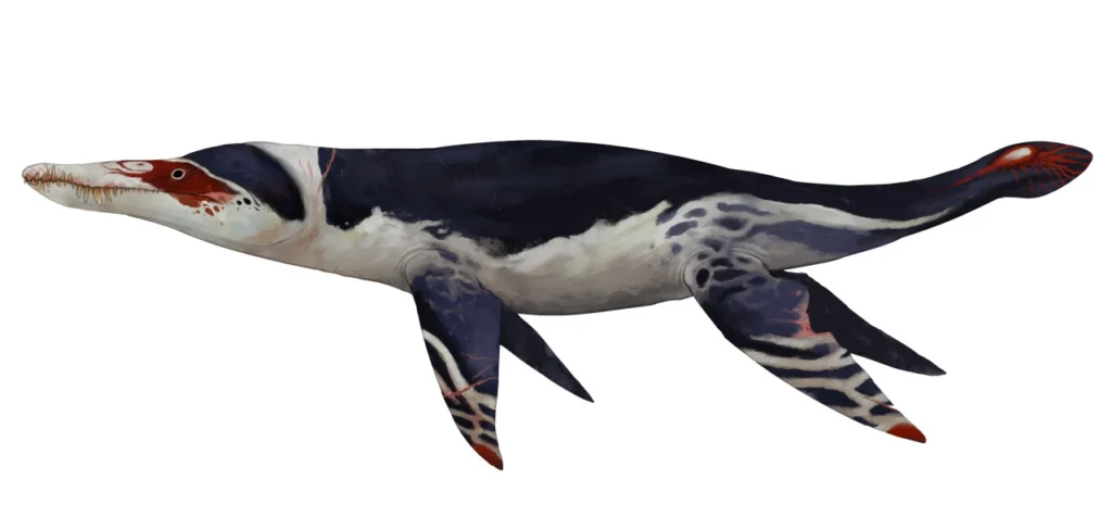 Top 10 Extinct Fastest Sea Animals That Once Ruled the Seas 12 extinct fastest sea animal
what is the fastest extinct animal in the world
what animal went extinct the fastest
what is the biggest extinct sea animal
extinct sea animals names
top extinct animals that may still be alive
extinct animals in the sea
animals that got extinct in 2021
fastest sea creature
animals that are extinct but still alive