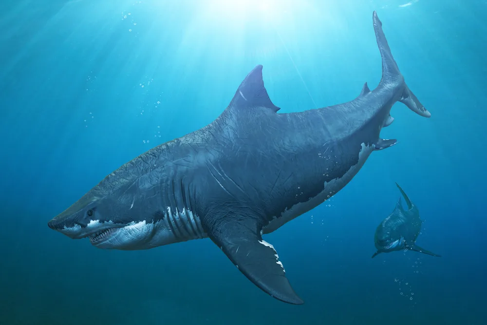 Top 10 Extinct Fastest Sea Animals That Once Ruled the Seas 9 extinct fastest sea animal
what is the fastest extinct animal in the world
what animal went extinct the fastest
what is the biggest extinct sea animal
extinct sea animals names
top extinct animals that may still be alive
extinct animals in the sea
animals that got extinct in 2021
fastest sea creature
animals that are extinct but still alive