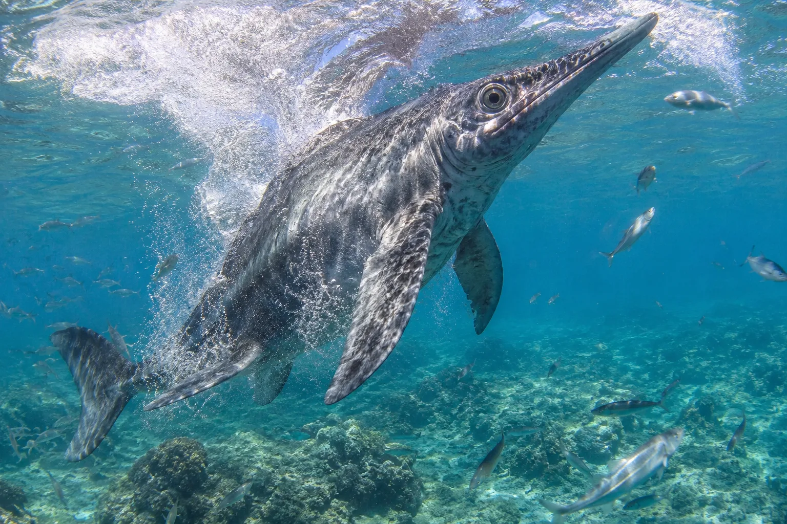 Top 10 Extinct Fastest Sea Animals That Once Ruled the Seas 4 Ichthyosaurus – The Jurassic Speedster