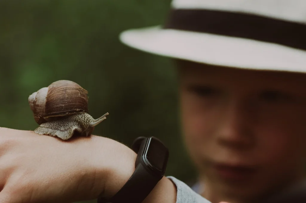 Animals with Hard Shell: Names, Pictures, and Fascinating Facts 5 snail