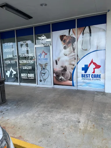 Best Care Animal Clinic a