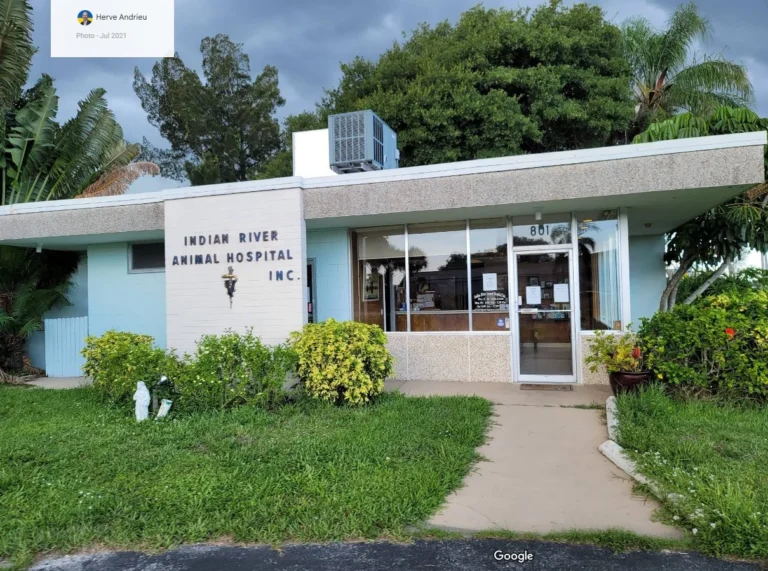 Indian River Animal Hospital