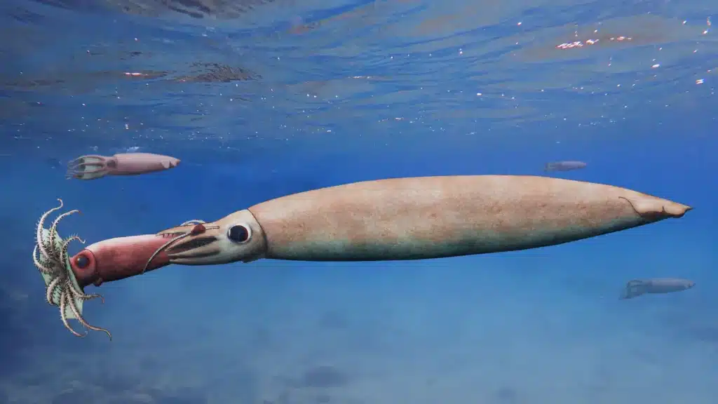 Vampire Squid Ancestor
Scariest Extinct Sea Creatures