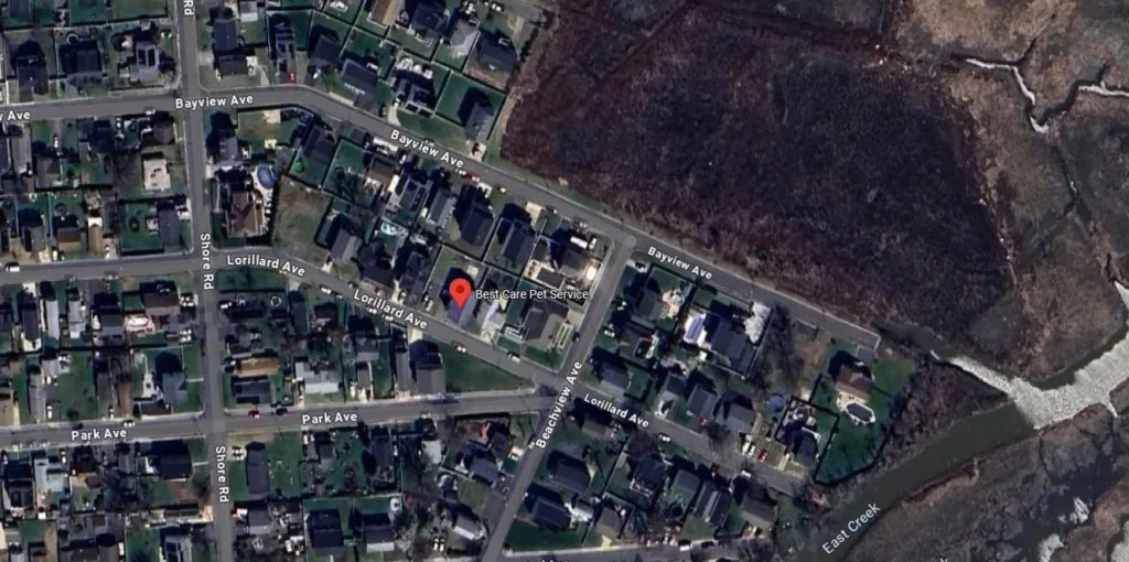Best Care Pet Service LLC location