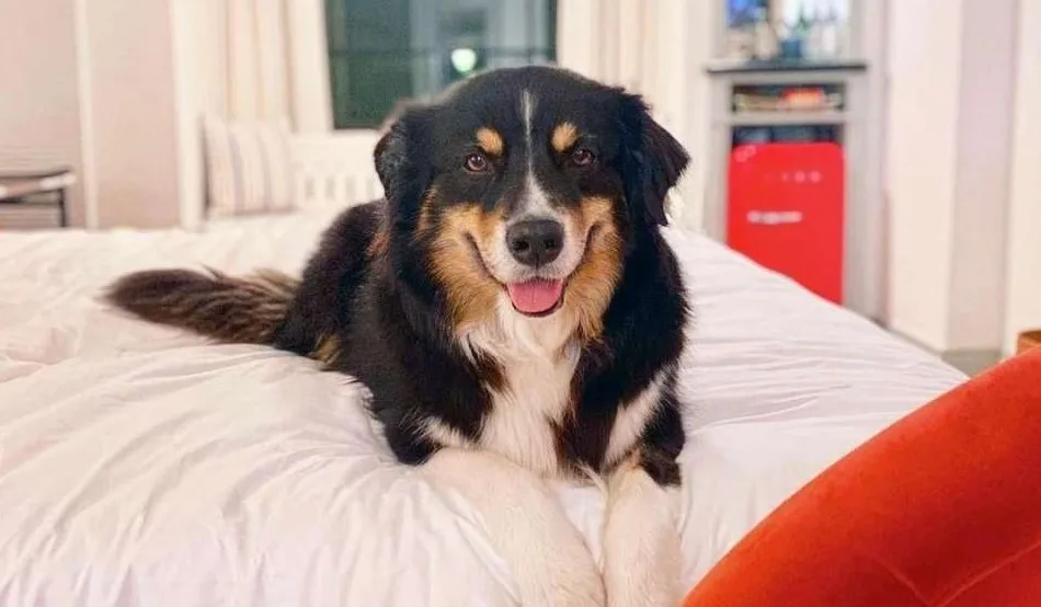 Four Seasons Hotel New Orleans