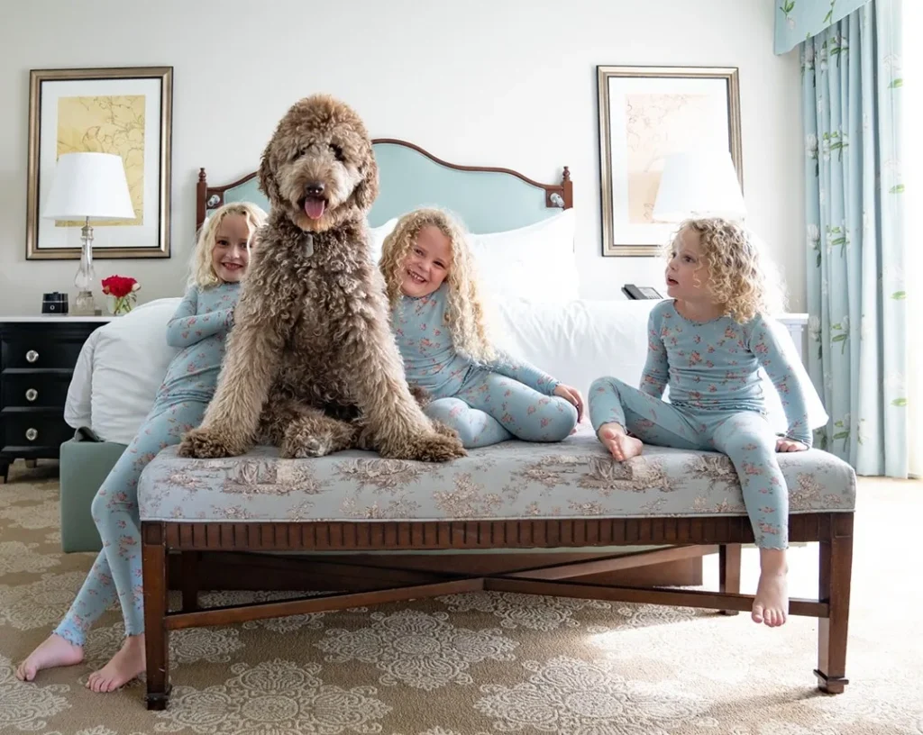 The Windsor Court Hotel