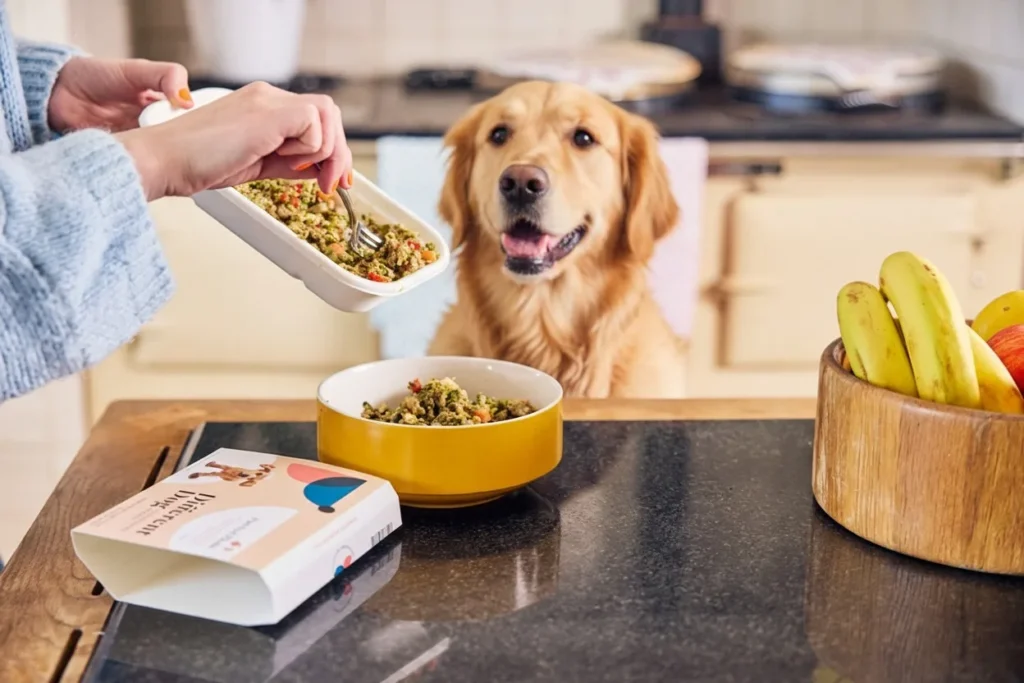 Homemade Dog Food for Senior Dogs