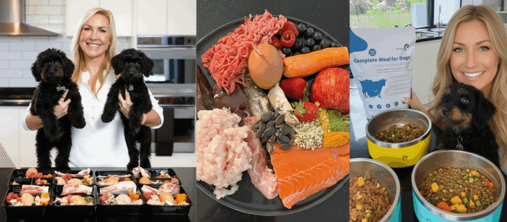 Homemade dog food for senior dogs,
Homemade dog food for older dogs,
Homemade dog food senior,
Homemade dog food for elderly dogs,
Home made dog food for senior dogs,
Old dog diet homemade,
Dog food recipes for senior dogs,
Senior dog diet homemade,