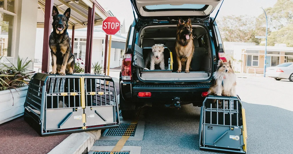 7 Best Dog Cage for Car (Vet-Approved & Crash-Tested Picks) 3 The Best Dog Cage for Car