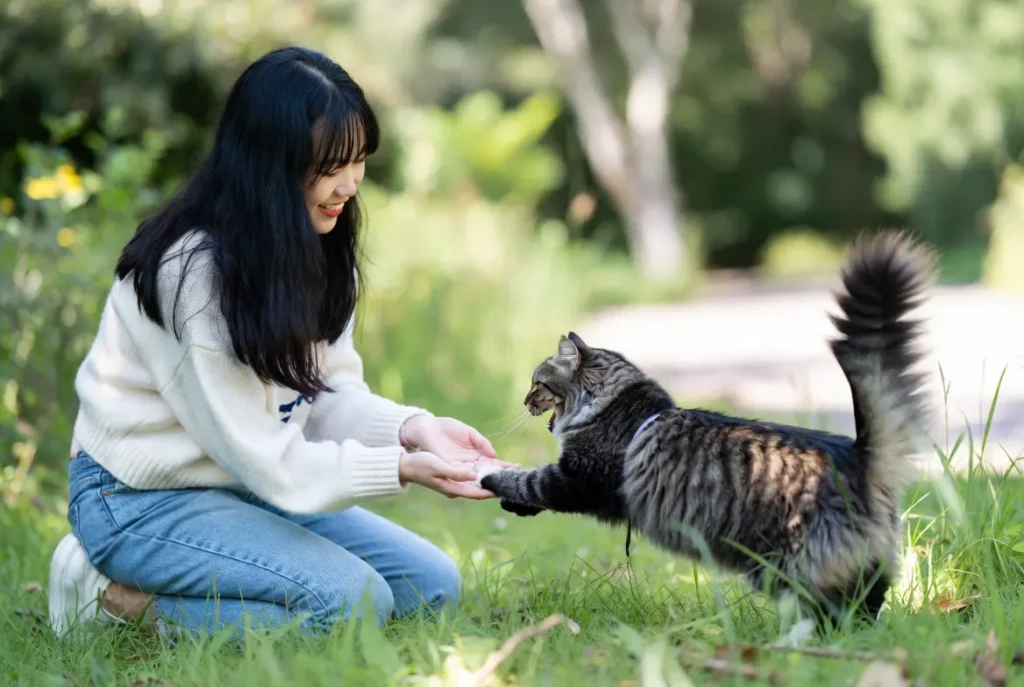 why does my cat bite me randomly
why does my cat bite me randomly reddit
why does my cat bite me gently out of nowhere
why does my cat bite me playfully
why does my cat randomly bite me when cuddling
why does my cat bite me when i walk by
why does my cat randomly bite me while purring
why does my cat bite me randomly when he
why does my cat randomly bite me and run away