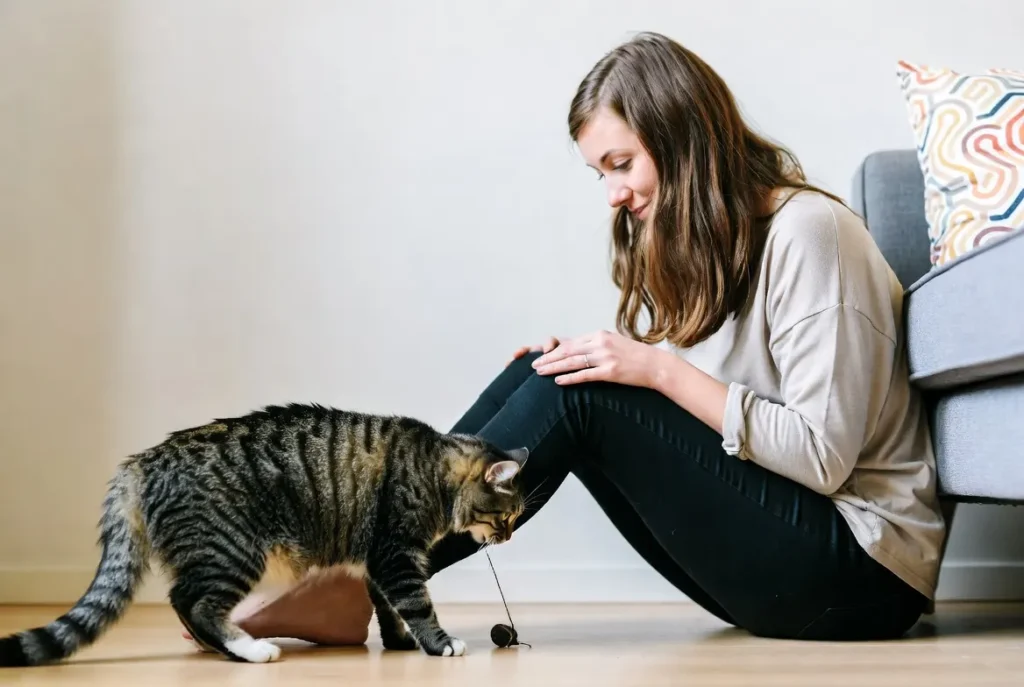 why does my cat bite me randomly
why does my cat bite me randomly reddit
why does my cat bite me gently out of nowhere
why does my cat bite me playfully
why does my cat randomly bite me when cuddling
why does my cat bite me when i walk by
why does my cat randomly bite me while purring
why does my cat bite me randomly when he
why does my cat randomly bite me and run away