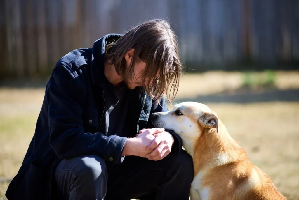 Do Dogs Feel Guilty? Experts Explain Canine Emotions 6 Dogs Feeling Guilty